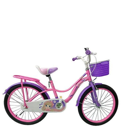 Galaxy BMX 20 inch Bicycle girls full house