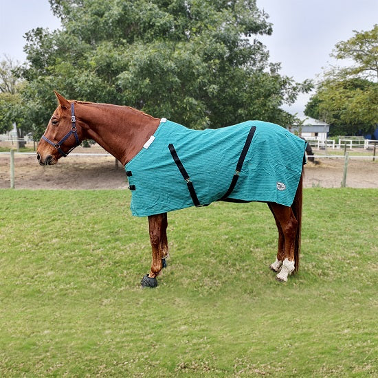 Stable blanket with canvas