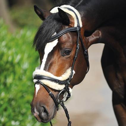 Bridle - Capriole Iivy with fur and with Suregrip reins