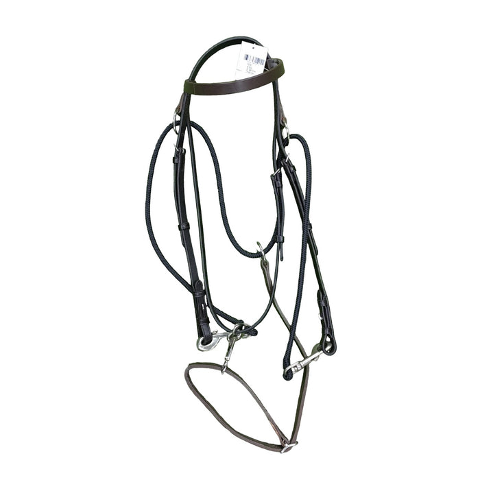 Harness bridle with check