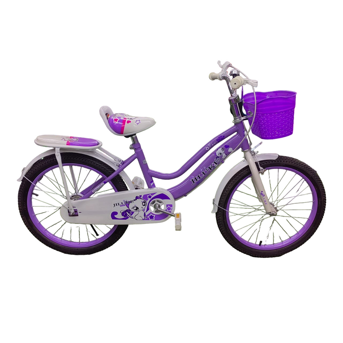 Galaxy BMX 20 inch Bicycle girls full house