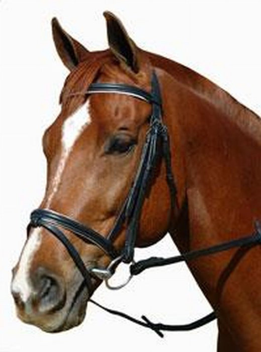 Bridle padded flash