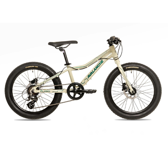 Avalanche Bike FLASH 20&quot; DISC - SILVER/GREEN