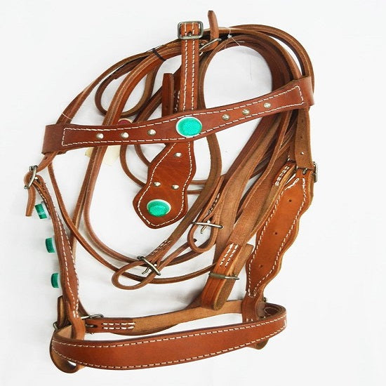 Bridle ornamentle+bit