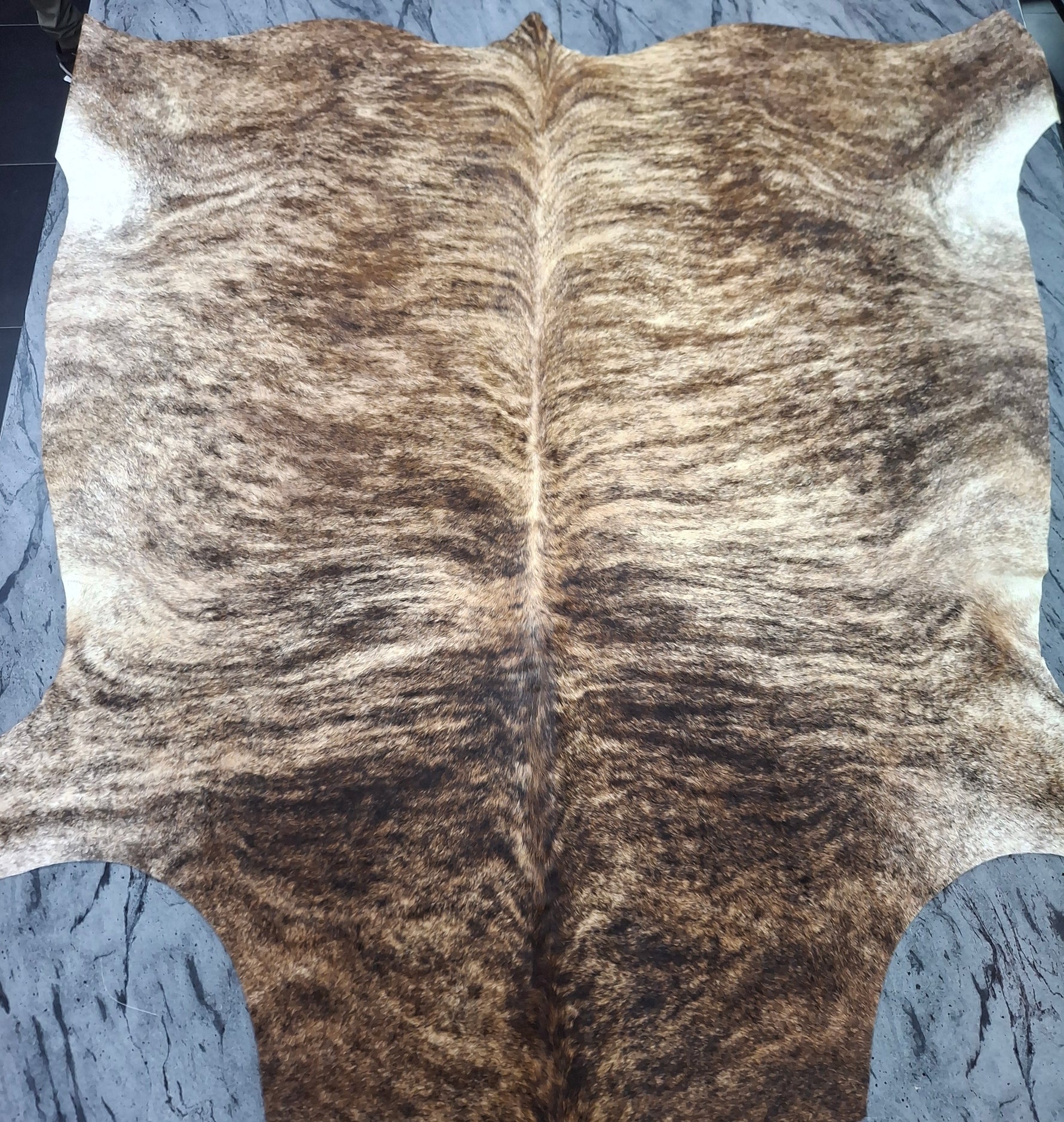 Nguni skin