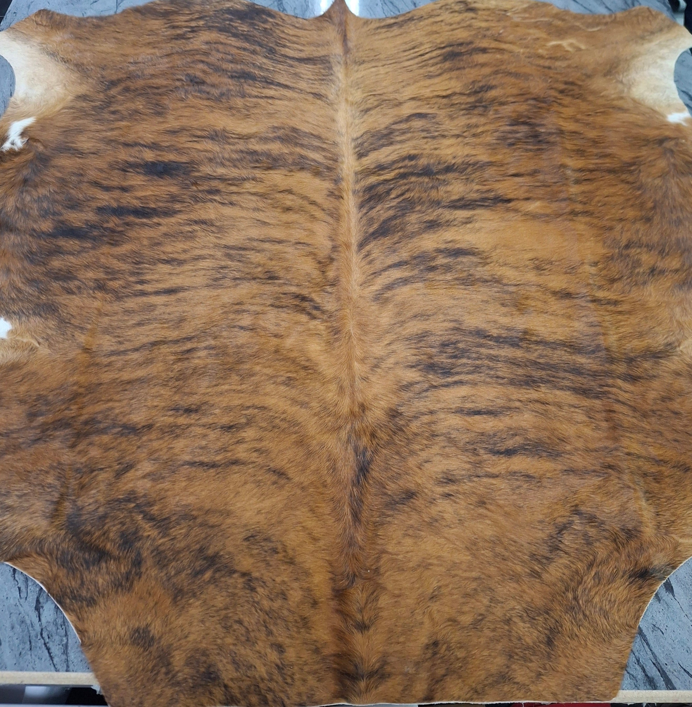 Nguni skin