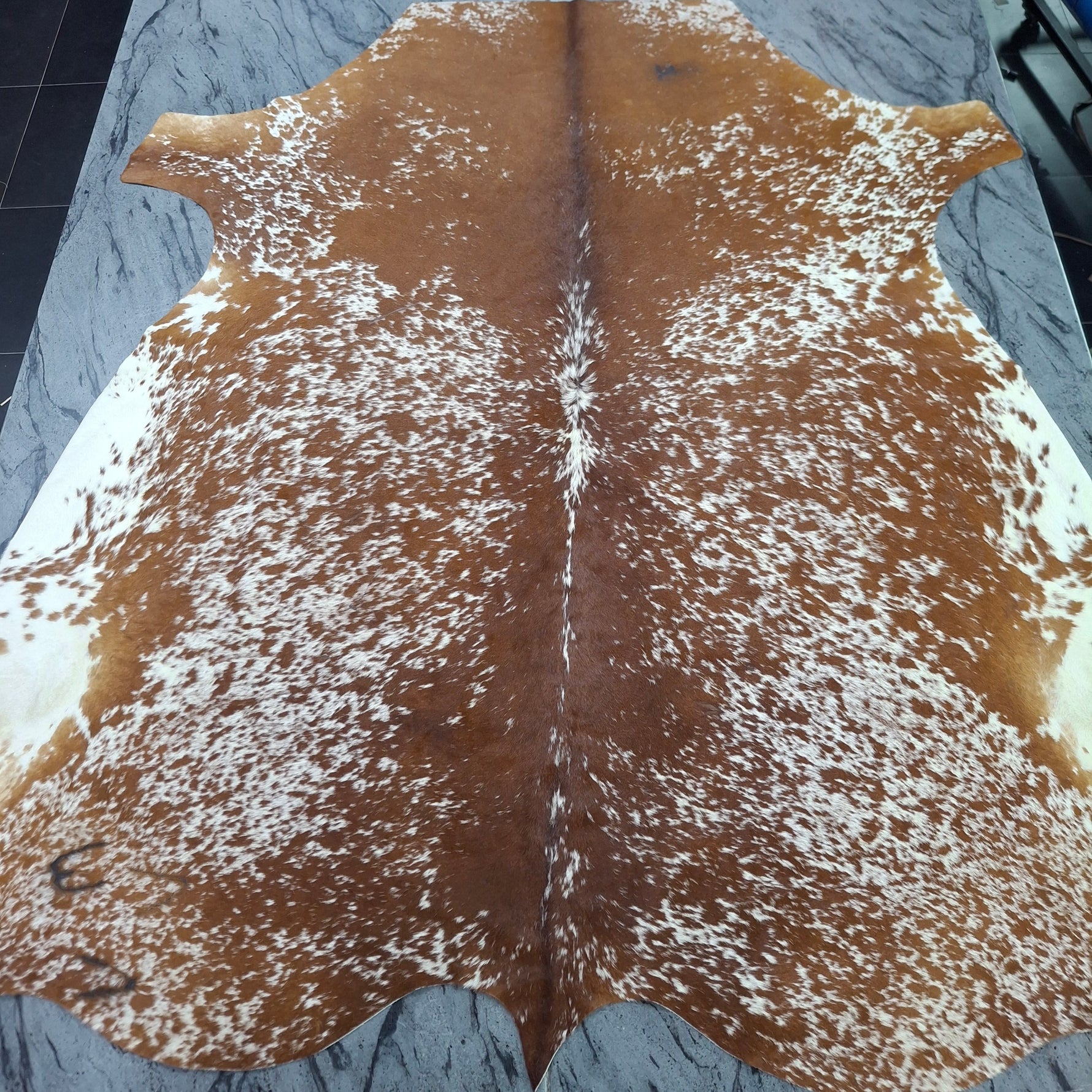 Nguni skin