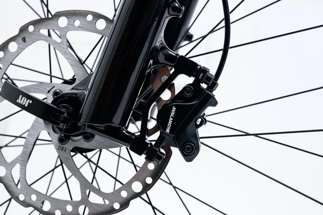 Avalanche Electric Bike MTe - Premium E-MTB with Long Range Battery