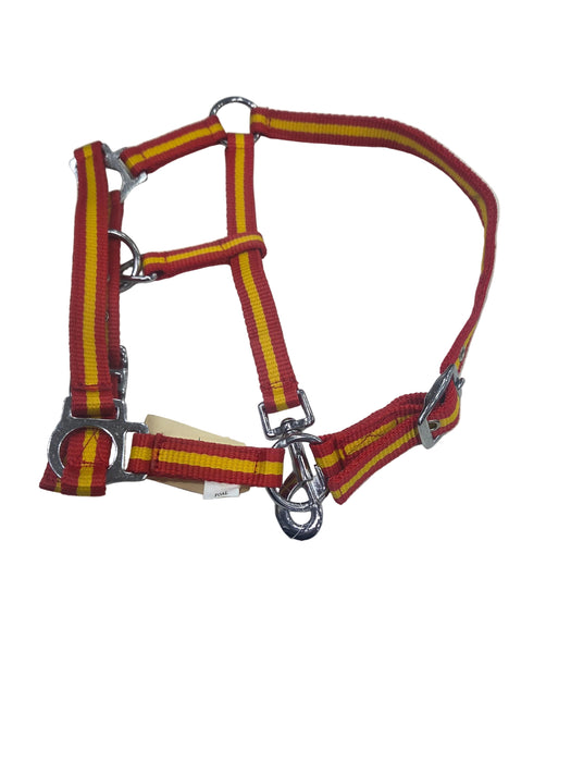 Ridepro Halter Foal No Lead