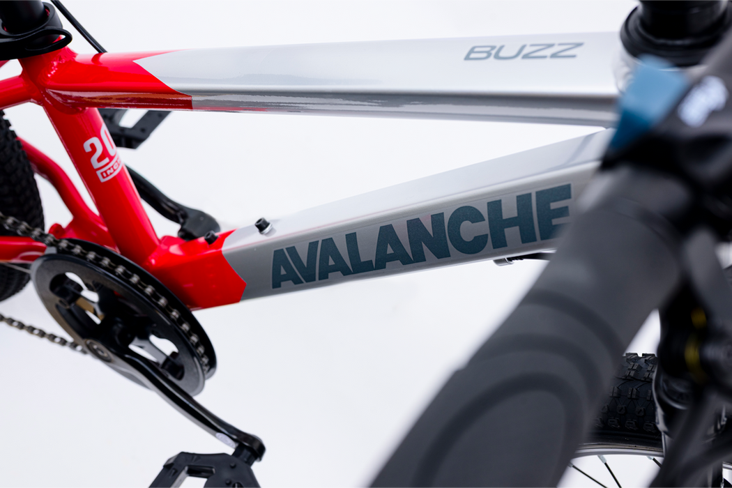 Avalanche Buzz 20inch Boys Red