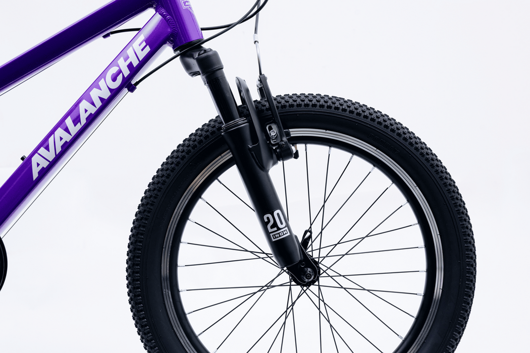Avalanche Buzz 20inch Girls Purple
