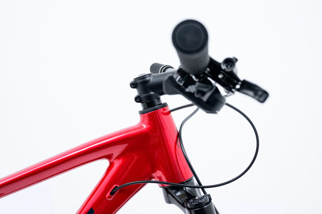 Avalanche Bike REFLEX Team 29ER BLACK/RED