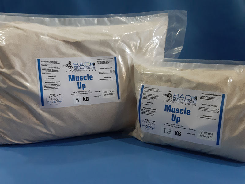 Back2Basics Muscle-Up supplement bag