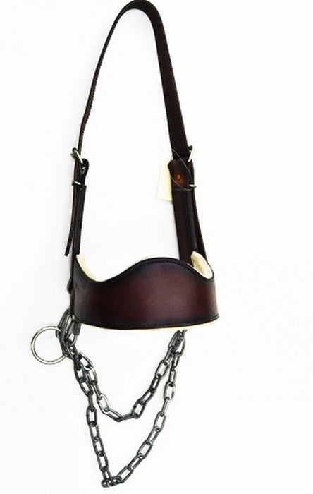 Halter cattle show leather with d ring and felt