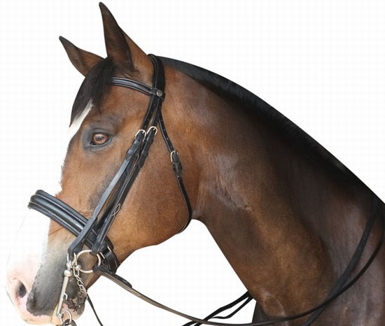 Double bridle gold medal black full size