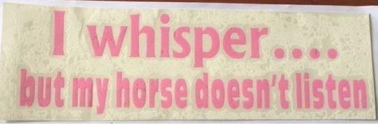 Bumper stickers i whisper but i my horse doesnt listen