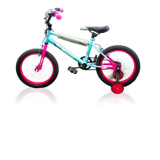 Bicycle BMX 16 Inch Girls Galaxy