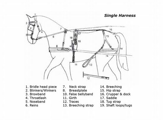 Harness donkey single leather