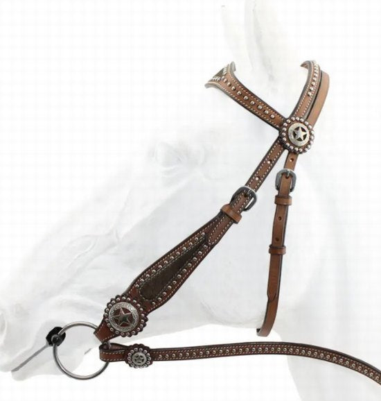 BRIDLE WESTERN IMPORT 036 WITH WESTERN SPLIT REINS 037