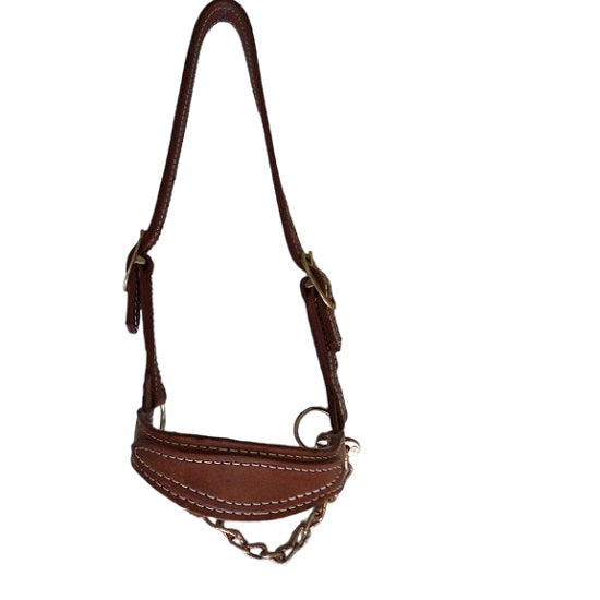 Halter cattle leather with chain new design