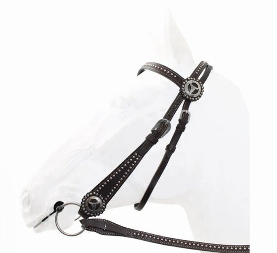 Bridle western 011 with reins 026